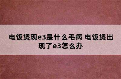 电饭煲现e3是什么毛病 电饭煲出现了e3怎么办